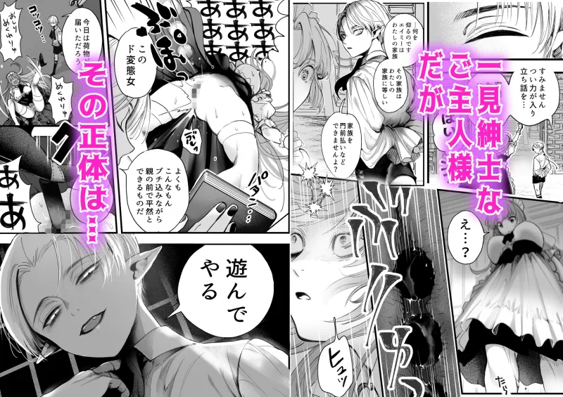 とある屋敷の人権なきメイドについて