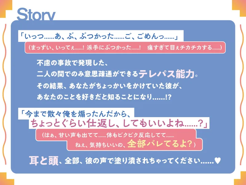 本文説明画像