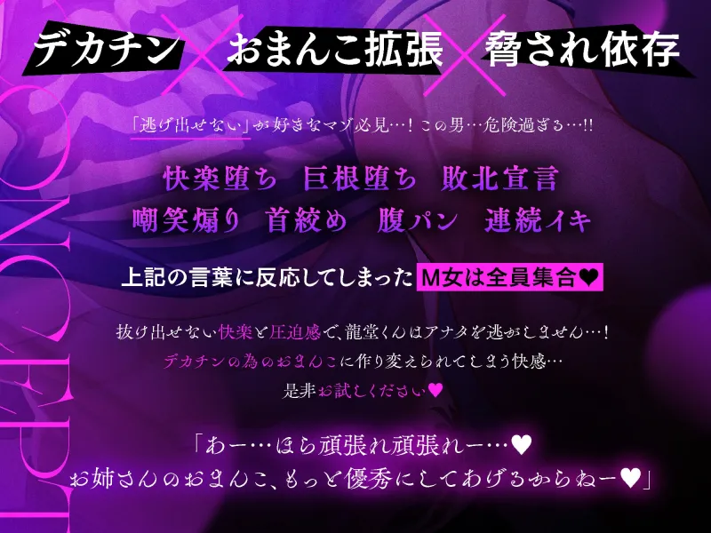 本文説明画像