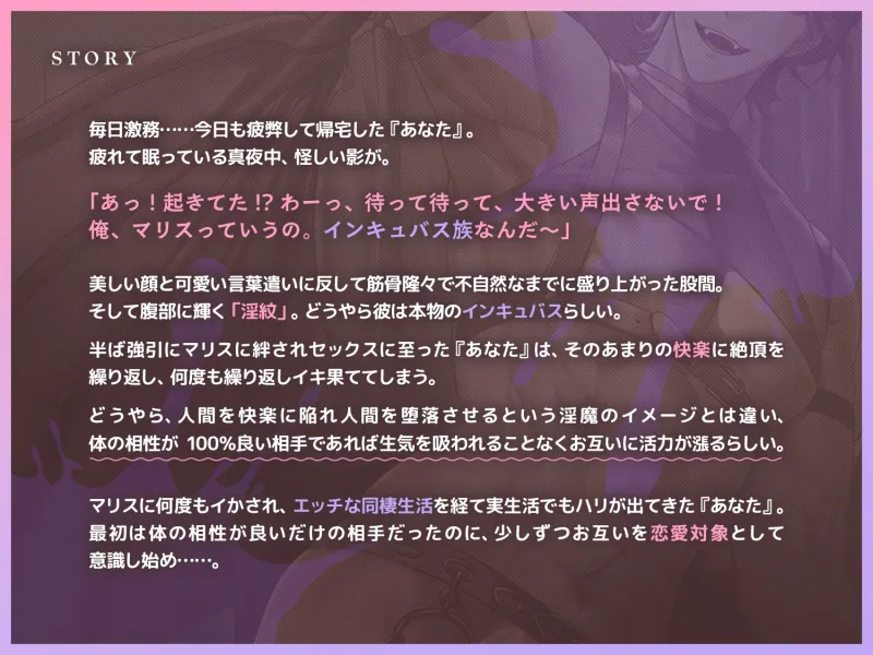本文説明画像