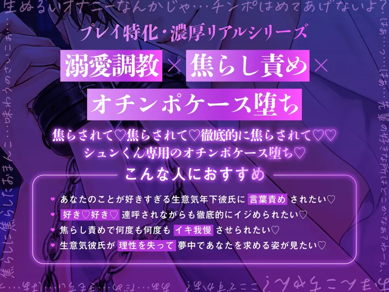 本文説明画像