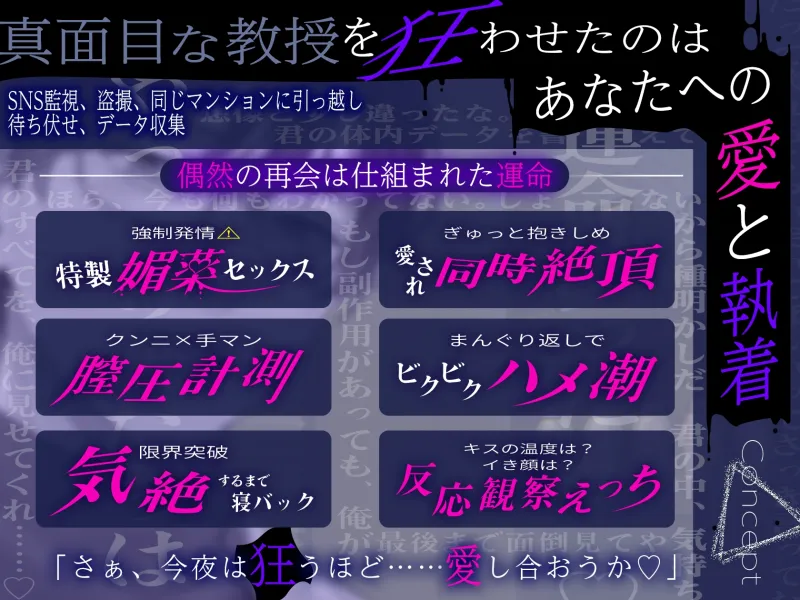 本文説明画像