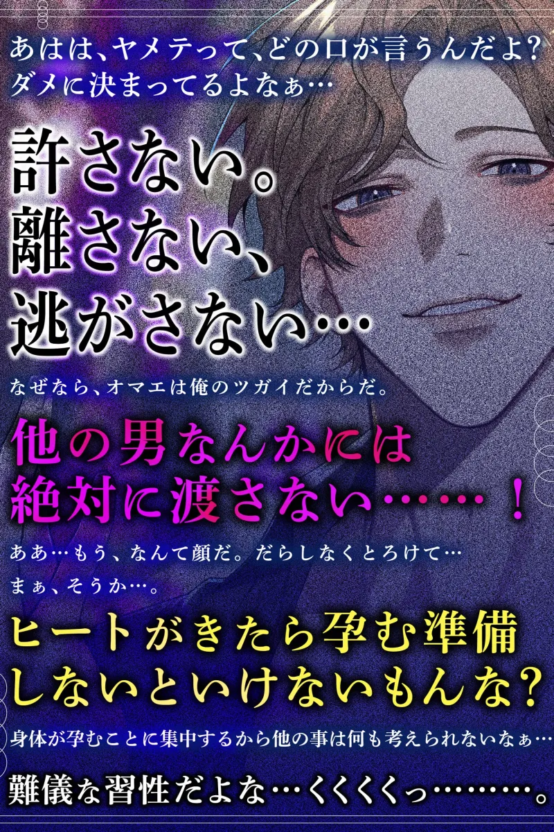 本文説明画像