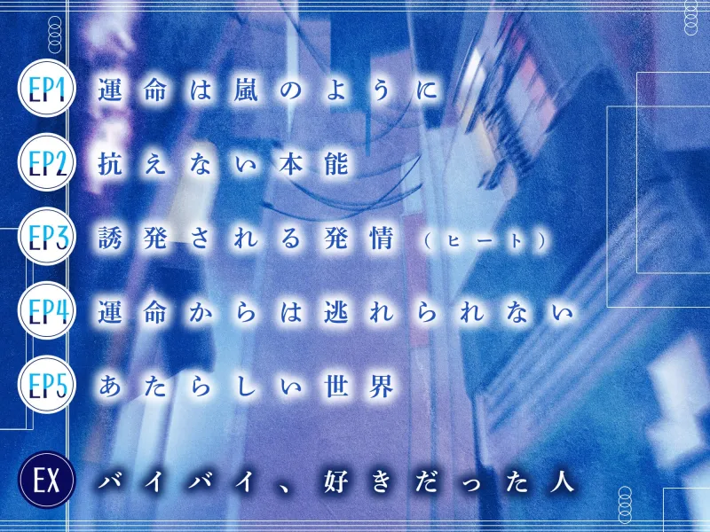 本文説明画像