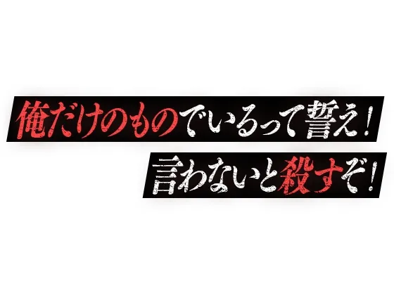 本文説明画像