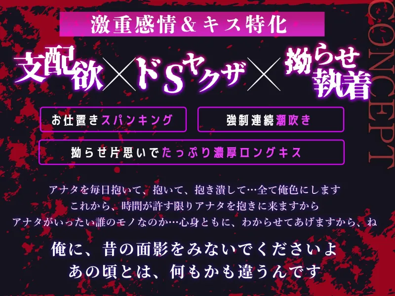 本文説明画像