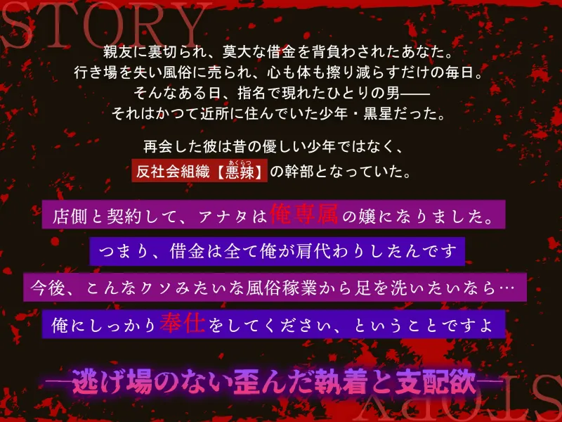 本文説明画像