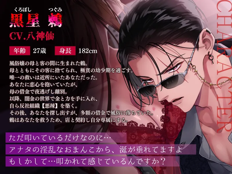 本文説明画像