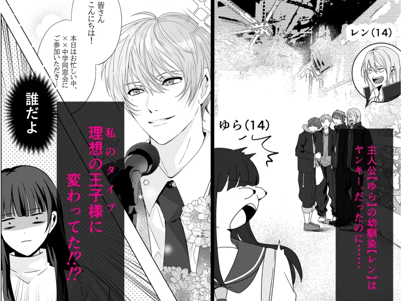 私の理想の王子様がヤンキー幼馴染なんてありえない！