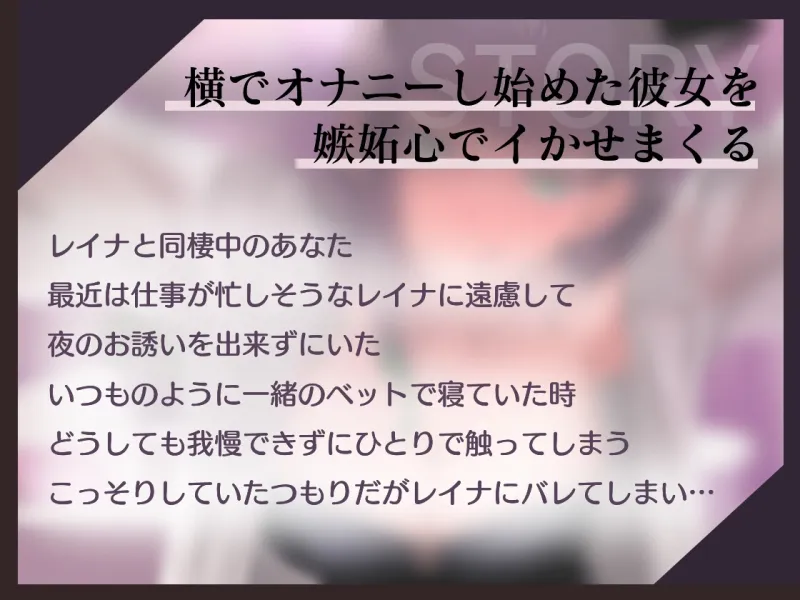 本文説明画像