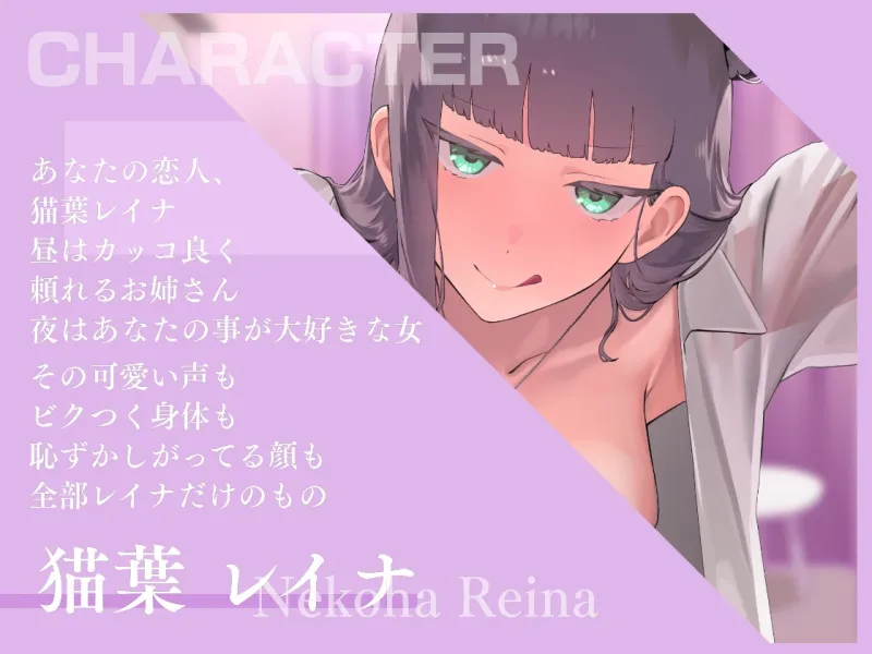 本文説明画像