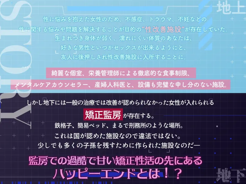 本文説明画像