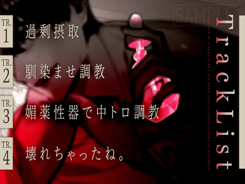 本文説明画像
