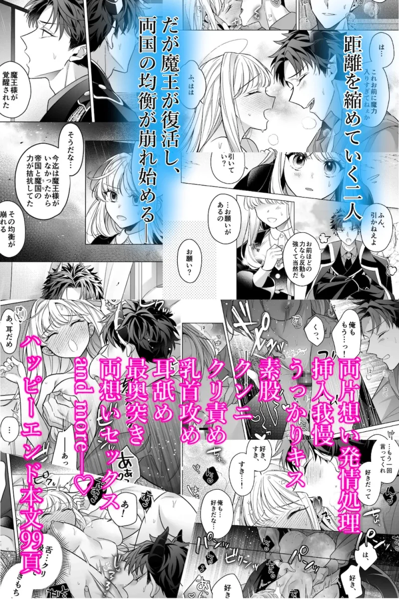 本文説明画像