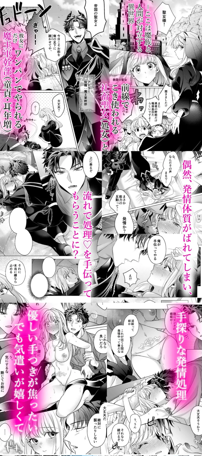 本文説明画像
