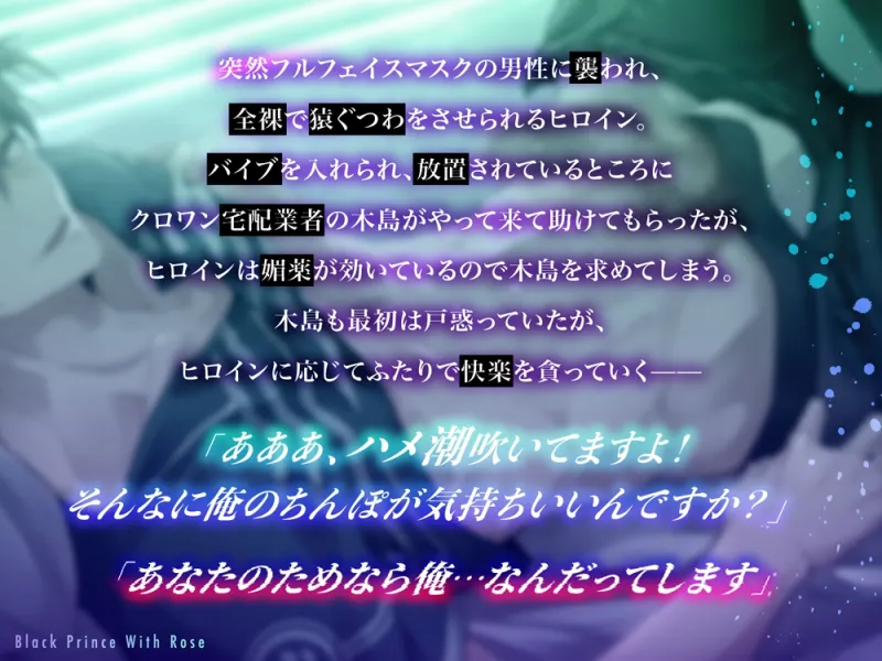 本文説明画像