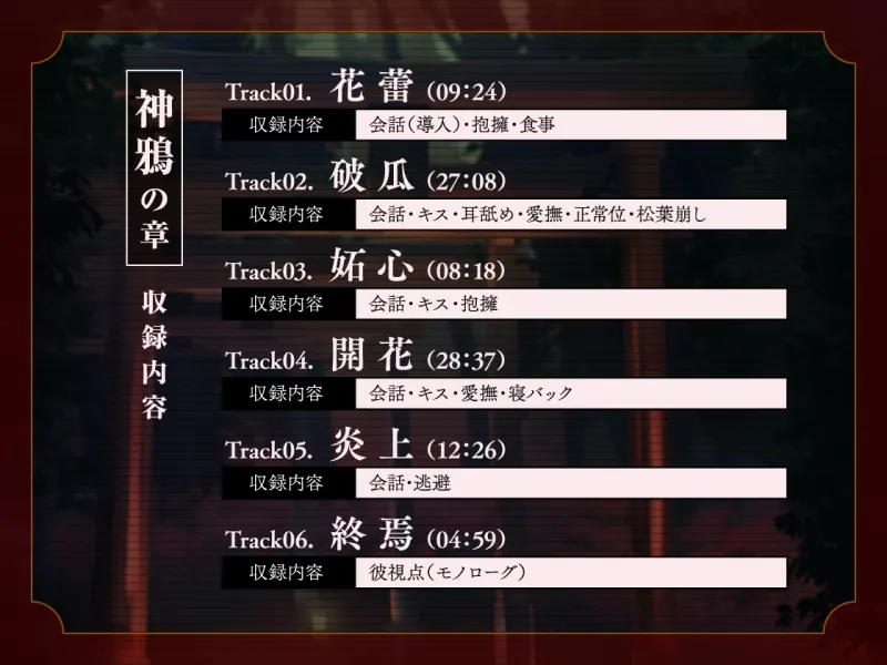 本文説明画像