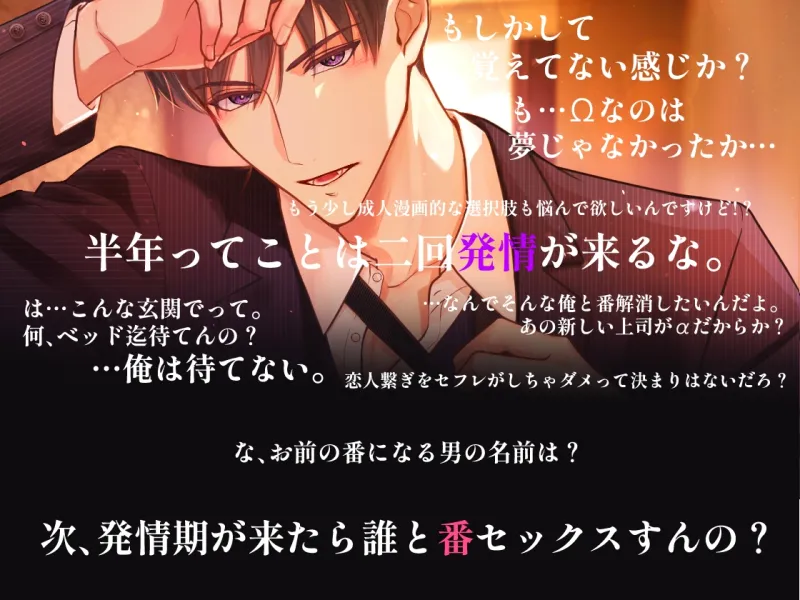 本文説明画像