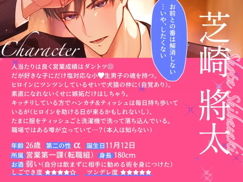 本文説明画像
