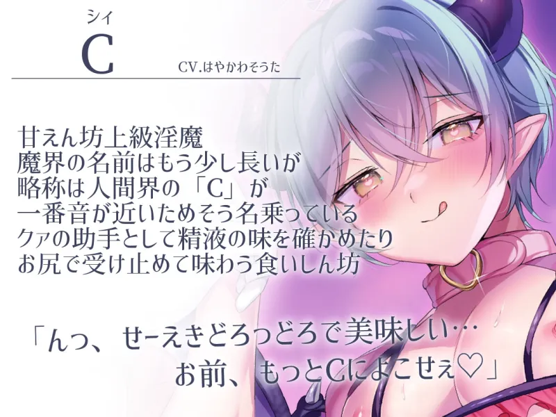 本文説明画像