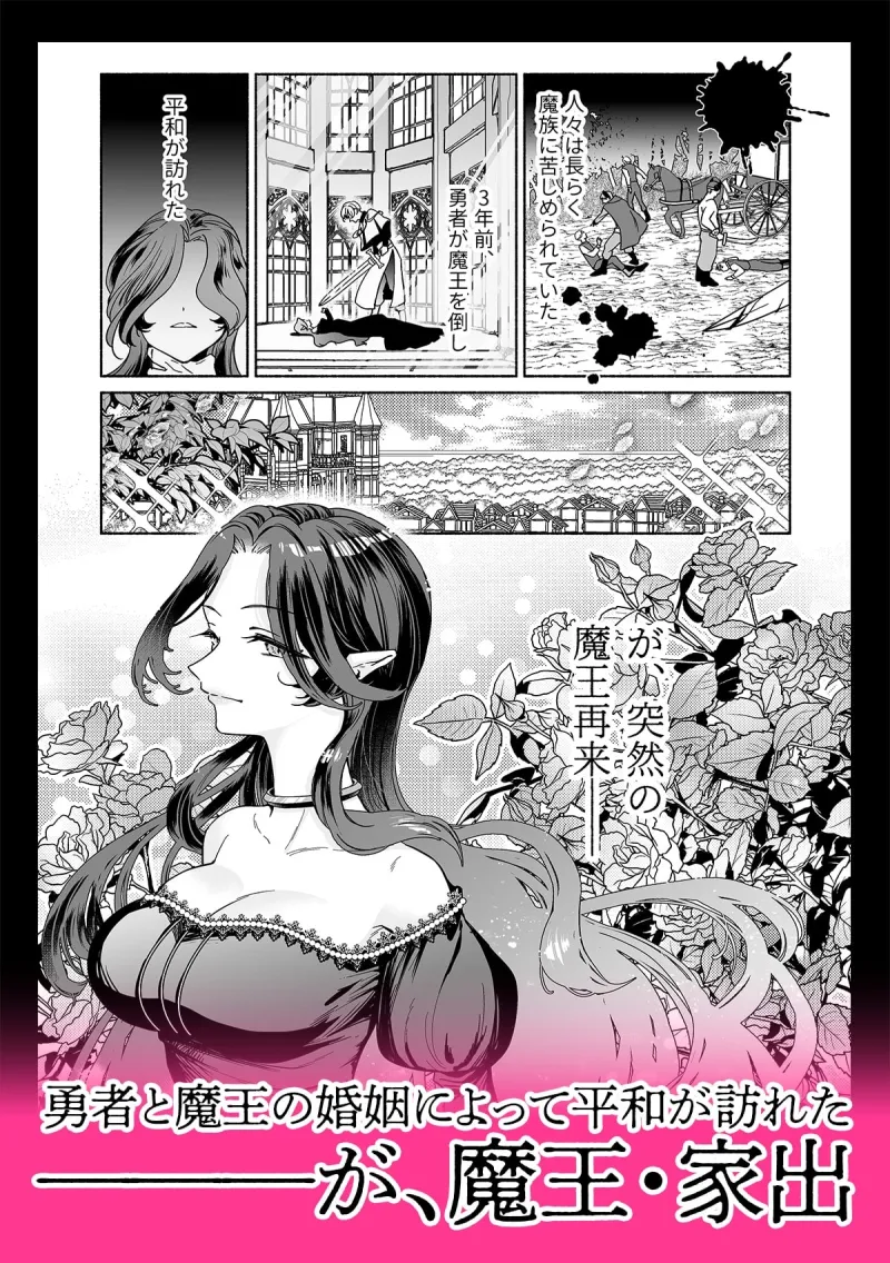 魔王は勇者の妻ですが家出します！