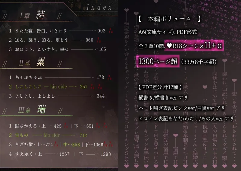 本文説明画像