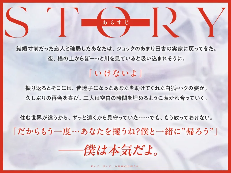 本文説明画像