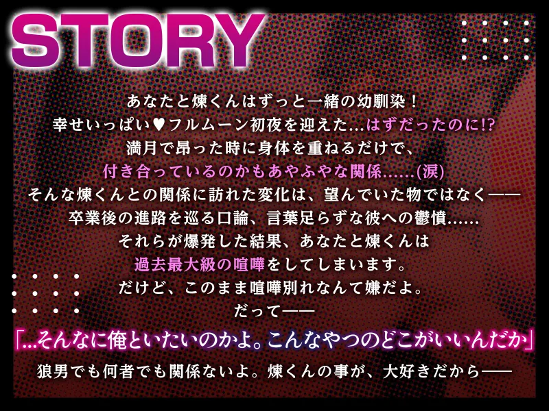 本文説明画像