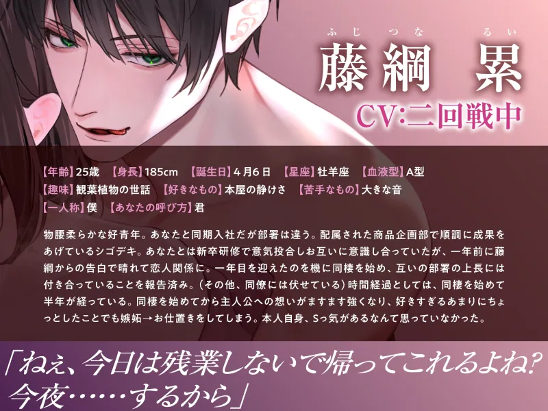 本文説明画像