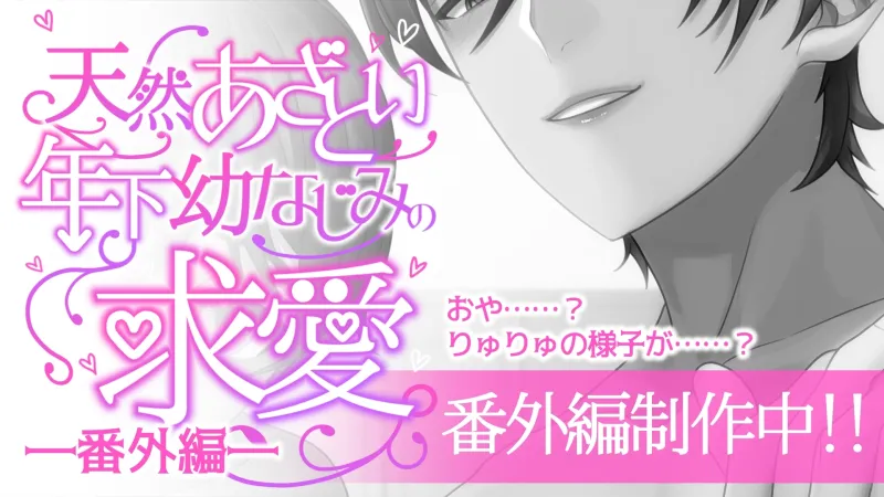 本文説明画像