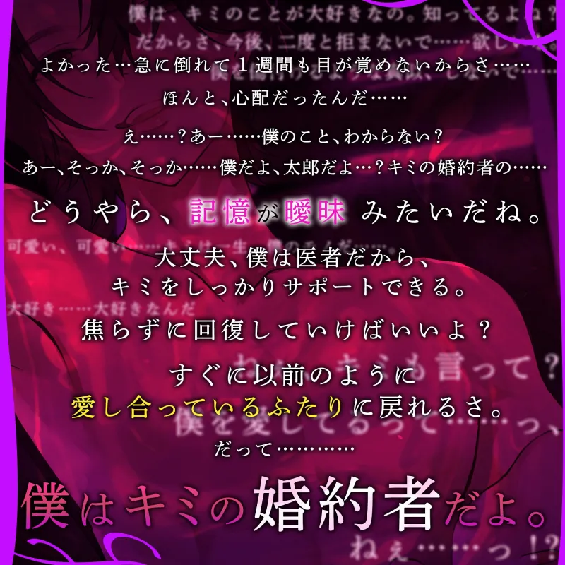 本文説明画像