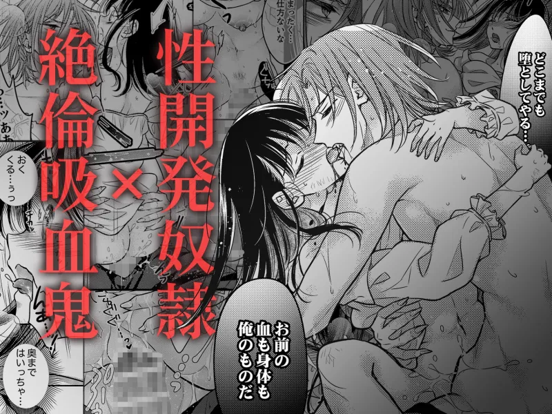 本文説明画像