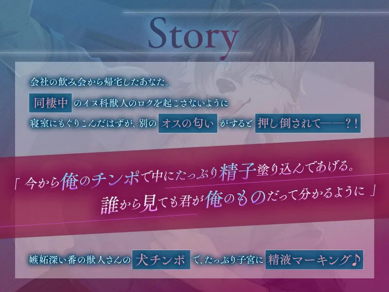 本文説明画像