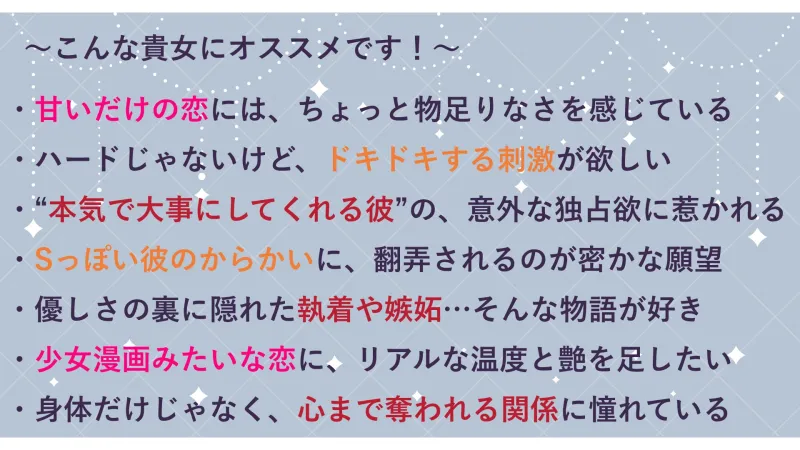 本文説明画像