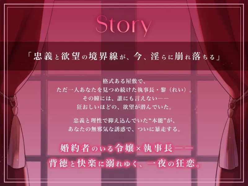 本文説明画像