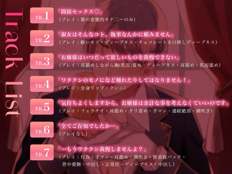 本文説明画像