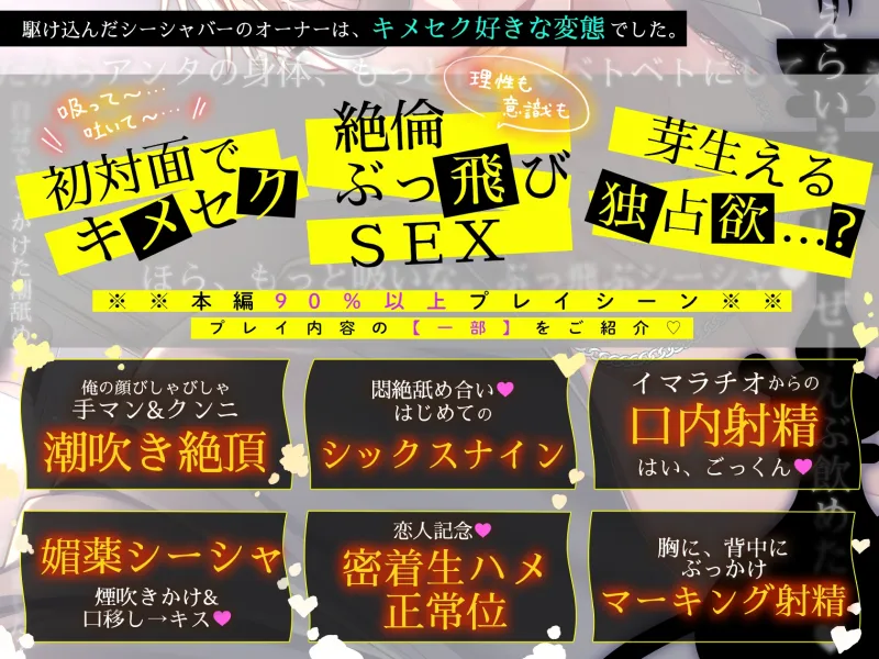 本文説明画像