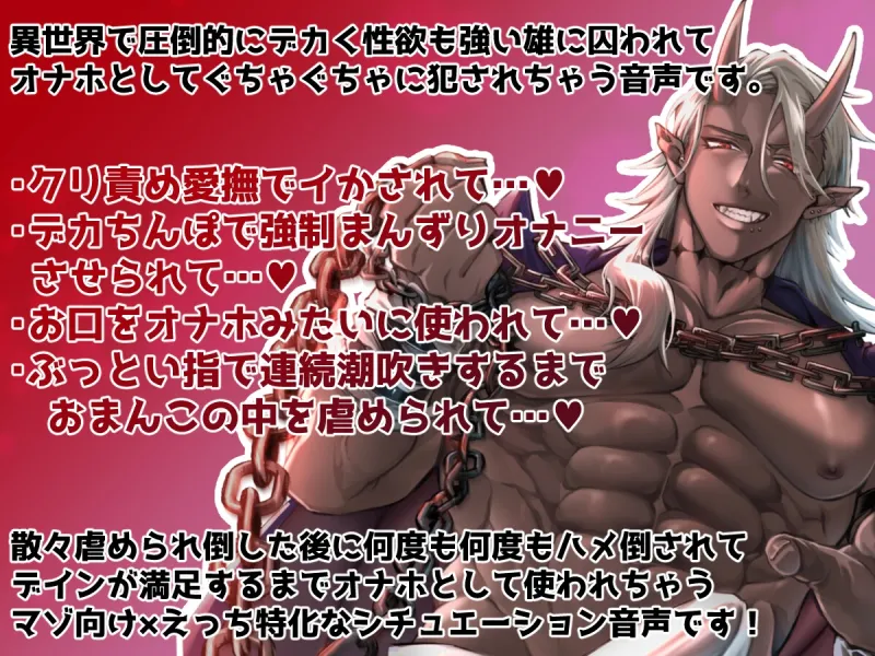 本文説明画像