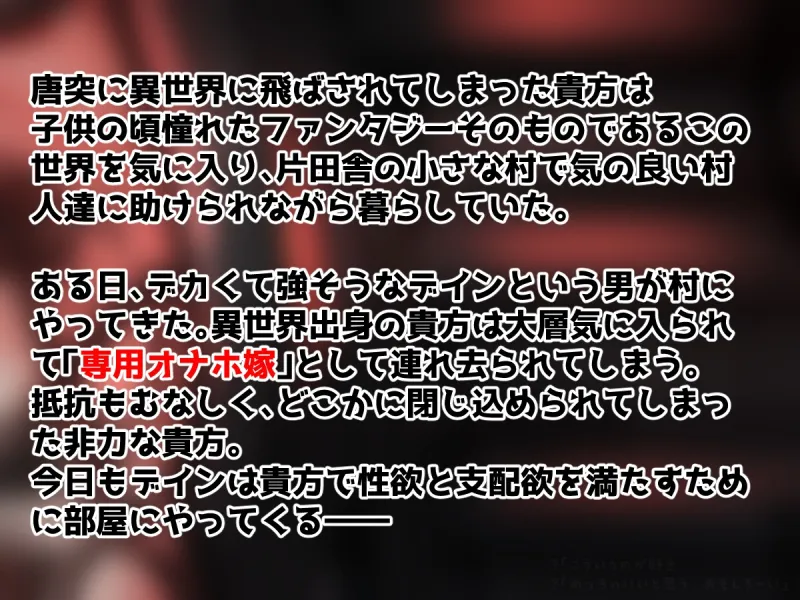 本文説明画像