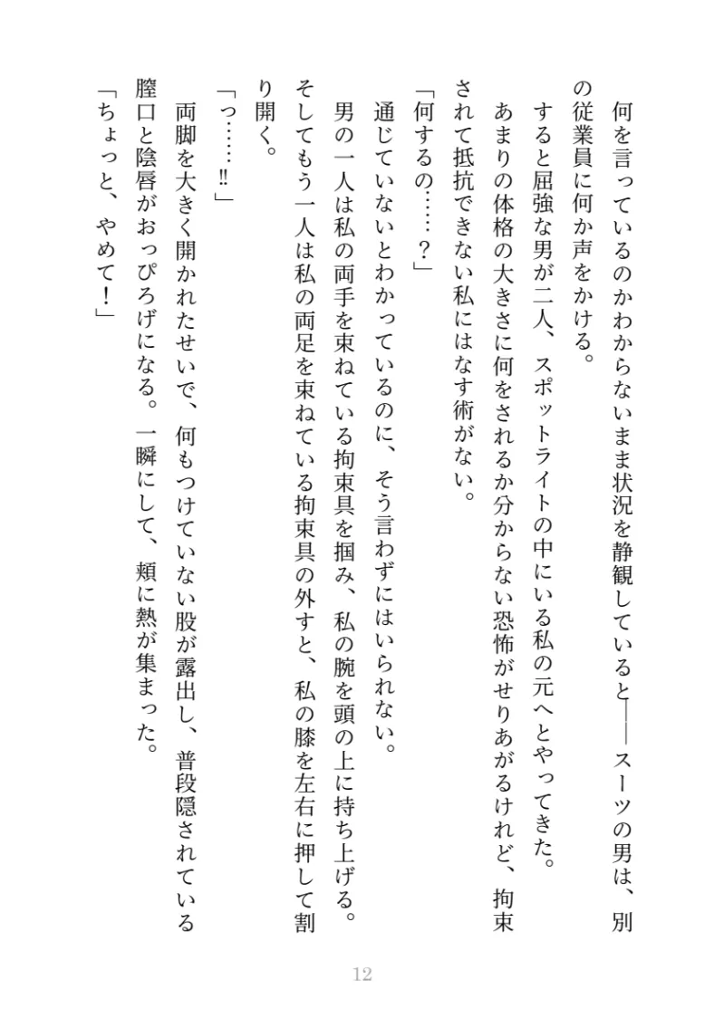 オークション商品だった私が愛玩具としてぐちゃぐちゃに溺愛されるまで