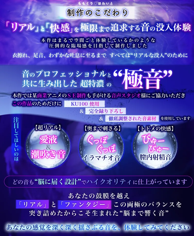 本文説明画像