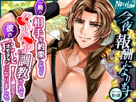 今夜、報酬になります～一晩の相手を約束したら、ぐずぐずに調教されて彼のオモチャになりました～