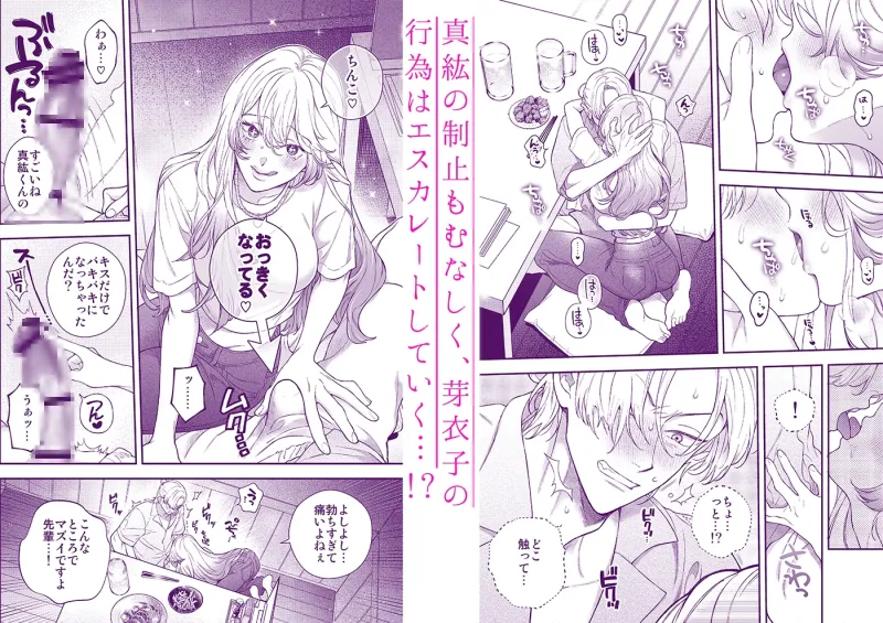 本文説明画像