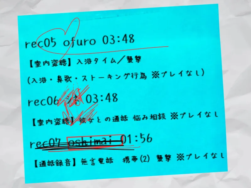 本文説明画像
