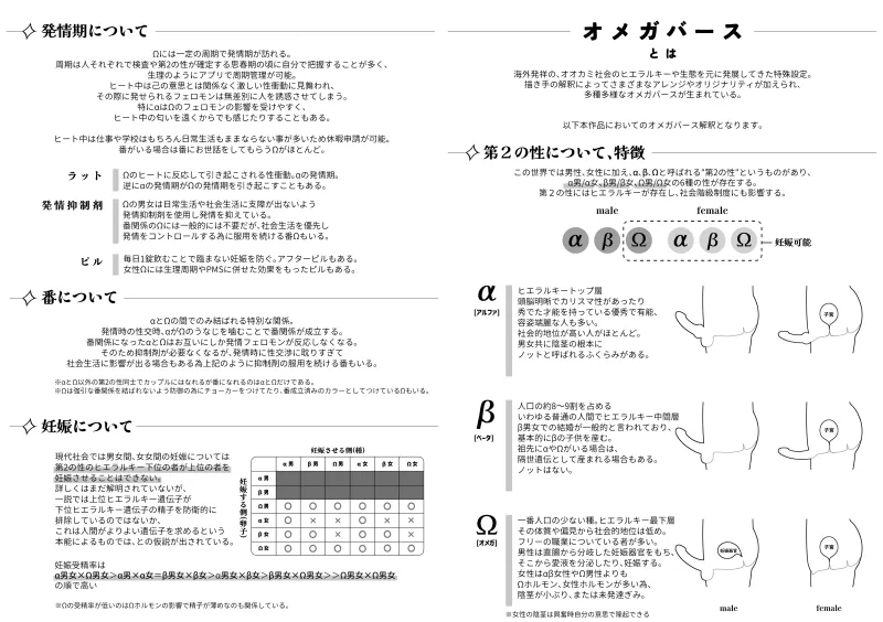 本文説明画像
