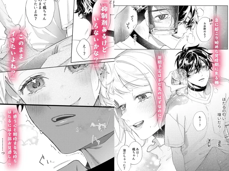 聡い彼女 愛しいこの子は俺の番