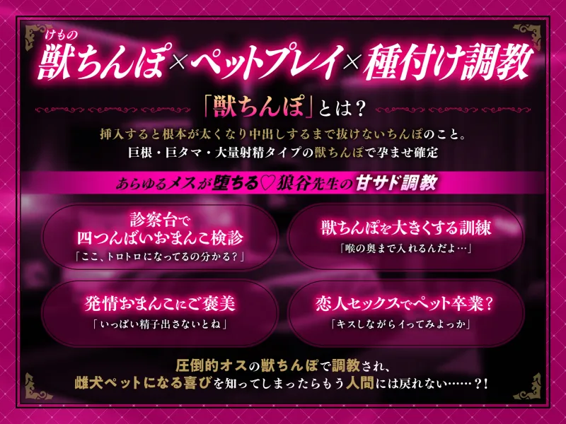 本文説明画像