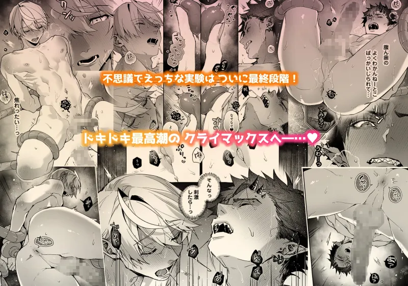 らぶりあっ！～もしも君が僕らと感覚共有する人形を弄んだら～ (3)