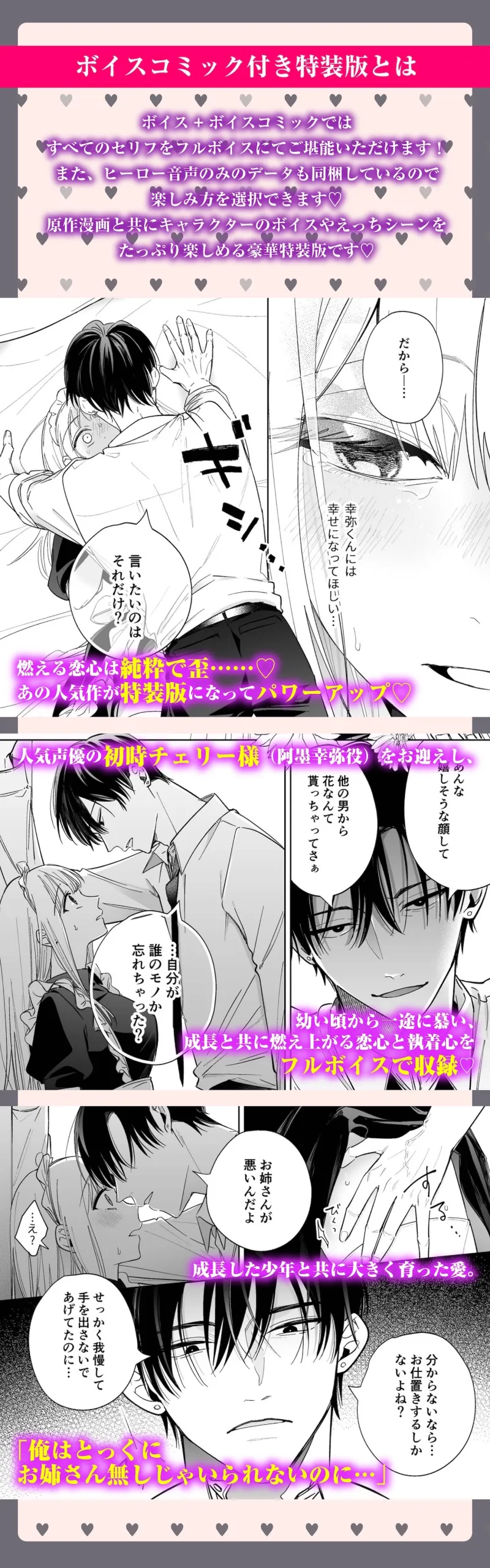 本文説明画像
