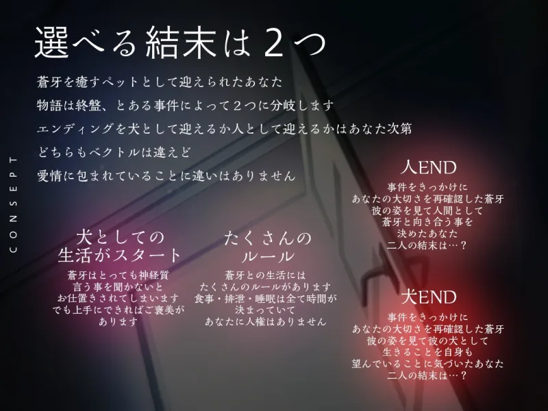 本文説明画像